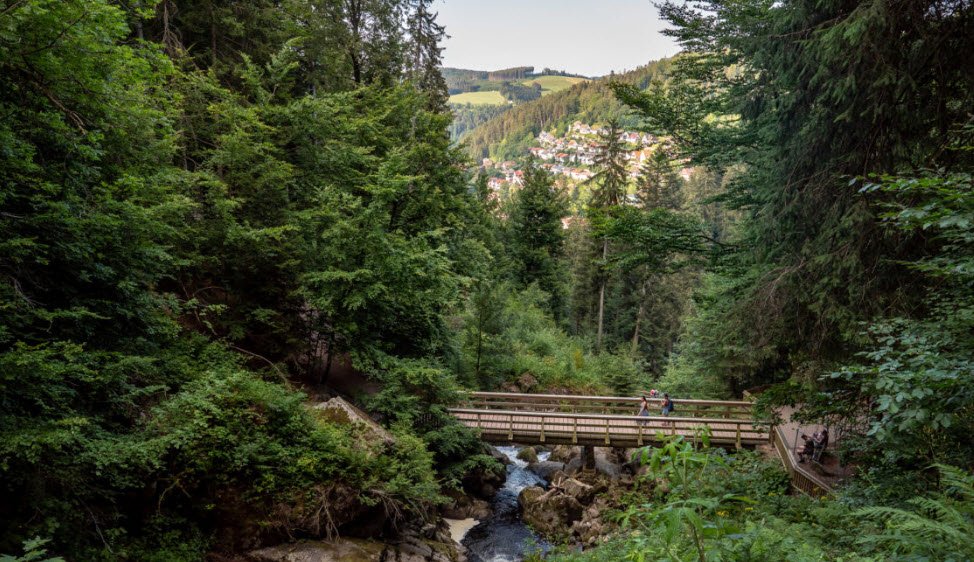 Black Forest (Schwarzwald), Germany